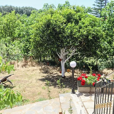 Alice's & Teo's * Chlomatianá